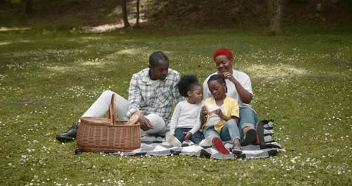 Happy Family Picnic in a Green Spring Park