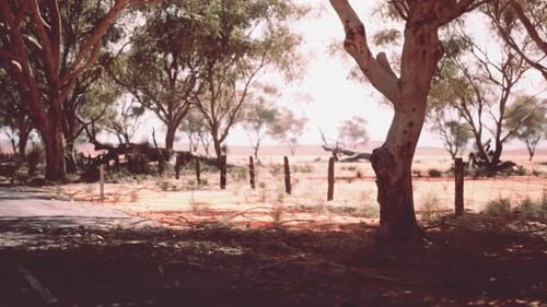 Western Africa Highway Road Through Savanna Desert