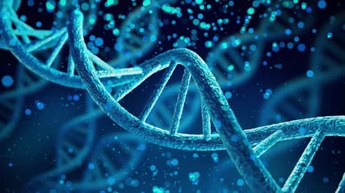 DNA-Doppelhelix