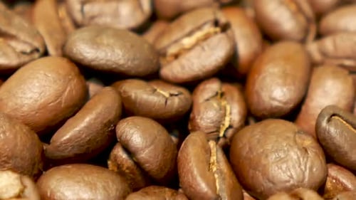 Close Up Footage of Medium Roasted Coffee Beans