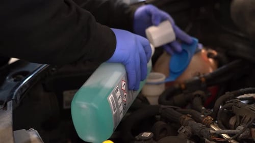 Adding Turquoise Liquid to Car Engine Reservoir