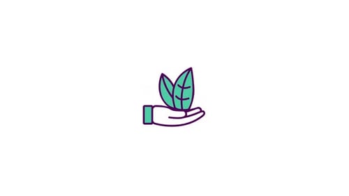 Flat Design Hand Holding Leaves Icon Animation