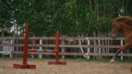 Young Woman Having Show Jumping Training in Outdoor Arena in Countryside