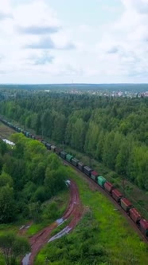 Vista aérea de um trem de carga em movimento longo ao longo de árvores verdes de verão Clip Railroad estendida