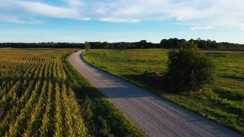 Gravel countryside road surrounded by meadow and crop field, aerial drone view