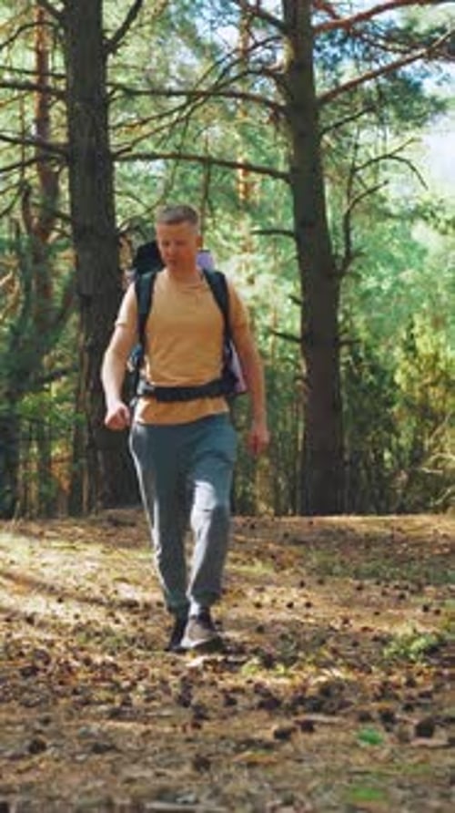 Ein einsamer Wanderer, der mit einem Rucksack ausgestattet ist, begibt sich auf ein Abenteuer und durchquert den Forest Trail