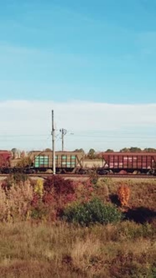 vagões de trem de carga estão passando por trem no campo