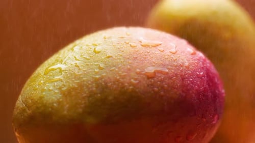 Water splashing over rotating mango fruit on orange background