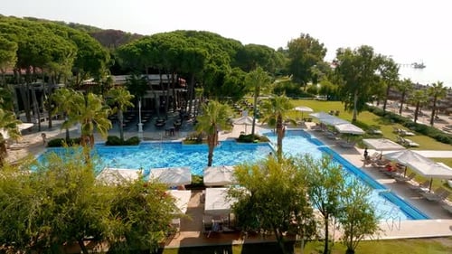 Luxurious Beach Resort with Swimming Pool and Beach Chairs and Palm Trees