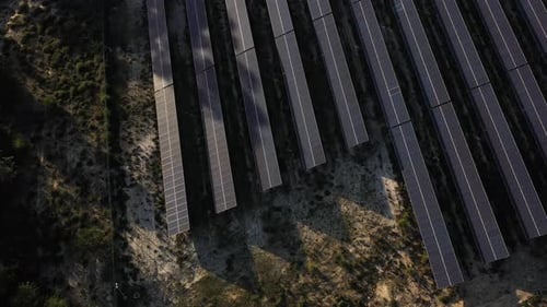 Aufnahme von oben nach unten von Reihen von Sonnenkollektoren, die auf einem Feld auf dem Land installiert sind