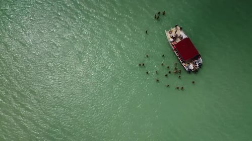 High drone shot near tourist boat in the sea where people are standing in the turquoise sea enjoying
