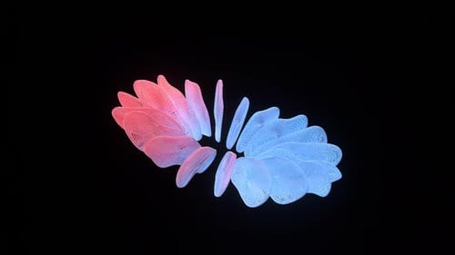 Animation ondulante abstraite