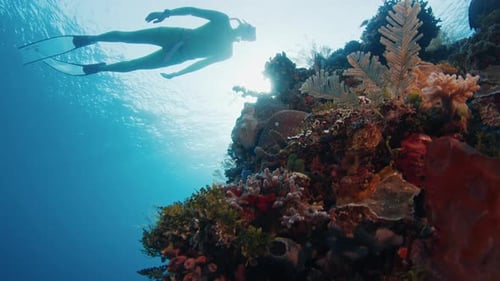 Freediver Swims Underwater in the Tropical Sea in Indonesia