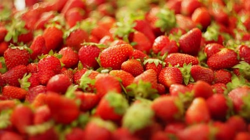 Hintergrundvideo einer köstlichen saftigen Beere, die auf eine Erdbeere fällt