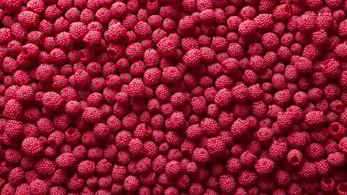 Dynamic Red Raspberries Background Seamless Loop