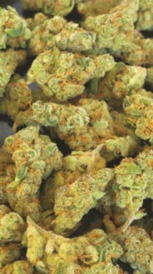 High Quality Marijuana Slow Dolly Shot