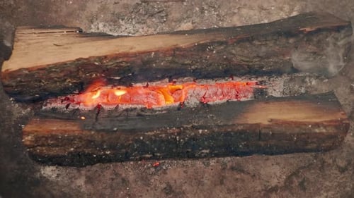 general plan of chopped wood A pile of firewood lying in a field near the forest, prepared fireplace