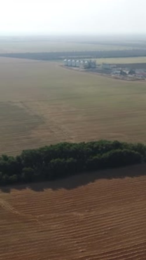 Grain Elevator Metal Grain Silo in Agricultural Zone Agriculture Storage for Harvest and Crops in
