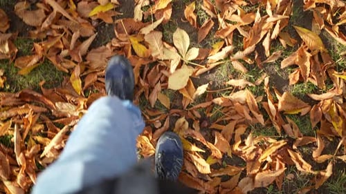 POV of person walking amidst autumn leaves during fall season. Man legs looking down at park