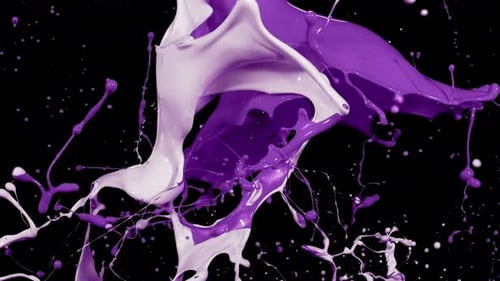 Dynamic Purple and White Paint Splash Fluid Motion