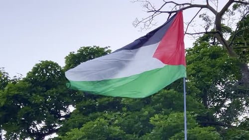 Palestinian Flag waves proudly- still shot