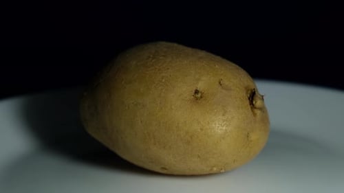 Potato on a White Surface, Close Up