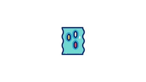 Canal Animated Icon