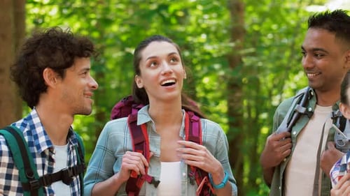 Friends Hiking and Chatting in a Lush Green Forest