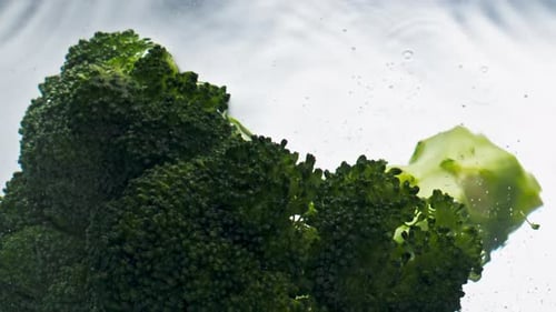 Fresh Broccoli Falling Water Closeup