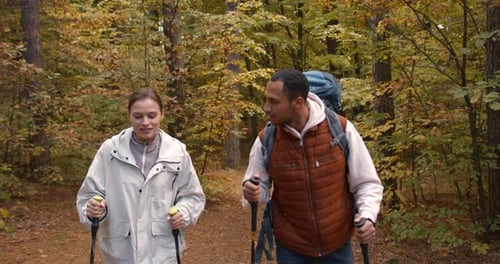 Group of Friends Hiking Together in Autumn Forest