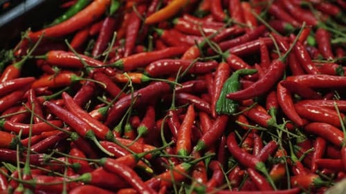 Erleben Sie noch heute die lebendige und geschmackvolle Essenz frisch geernteter roter Chilischoten