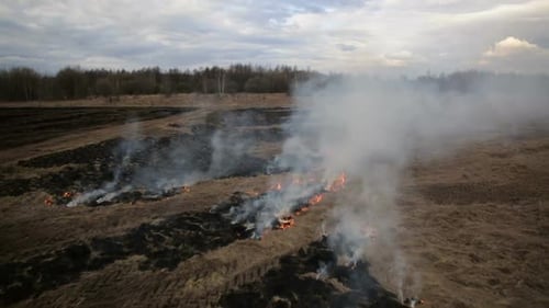 Aerial View of Dry Grass Burning on the Farmland