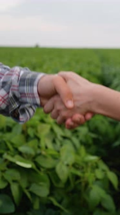 Farmers Handshake Confirming Agreement in Green Field