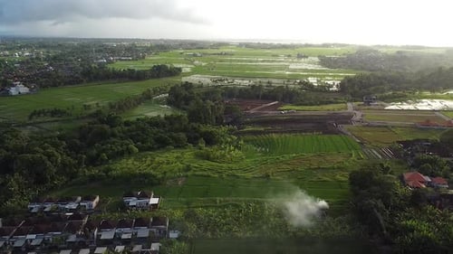 Lush Green Rice Fields From an Aerial Perspective
