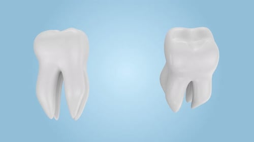Seamless animation of tooth rotation for dental health with alpha channel