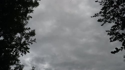 Dark Clouds Moving Slowly Through the Sky