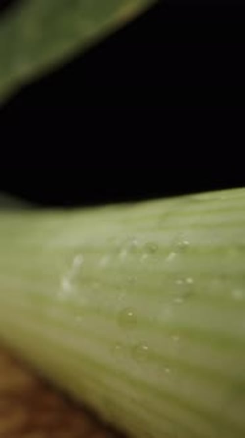 Vertical video. Two green leek stalks with roots on a wooden cutting board. Black background. Dolly
