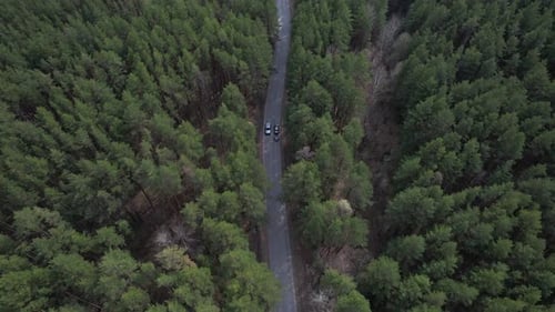 Car With A Small Trailer Drives Through The Forest