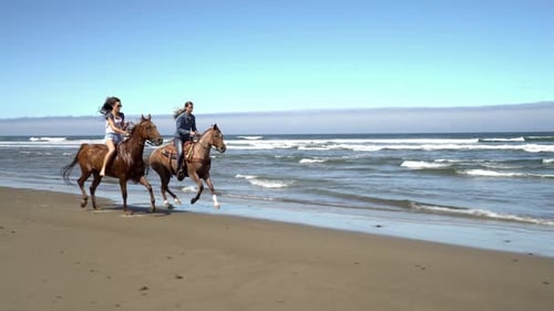 Happy young women enjoying horseback riding on a beautiful beach at sunset