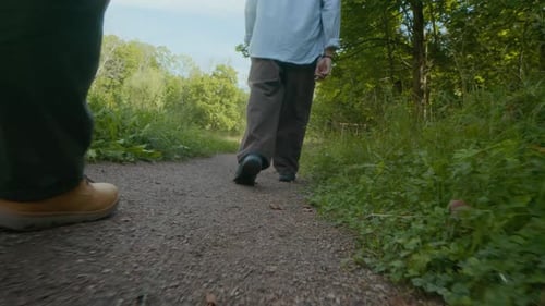 Menschen, die den Waldweg entlang gehen