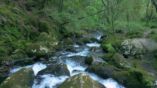 River Stream Flowing Over Mossy Rocks In Santa Leocadia Waterfall Near Mazaricos In Galicia Spain.