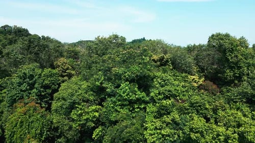 Lush Green Island Paradise Aerial View
