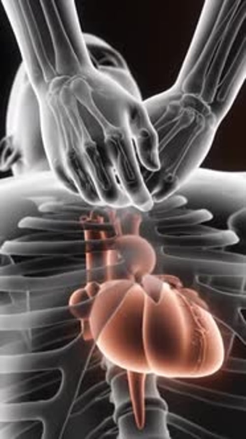 CPR Hands Pushing on Chest with Beating Heart Animation