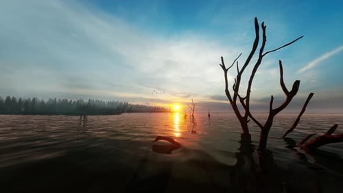 Ufer eines nebligen Sees bei Sonnenaufgang im Sommer