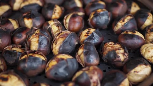 Traditional Istanbul Street Food Grilled Chestnuts in a Row