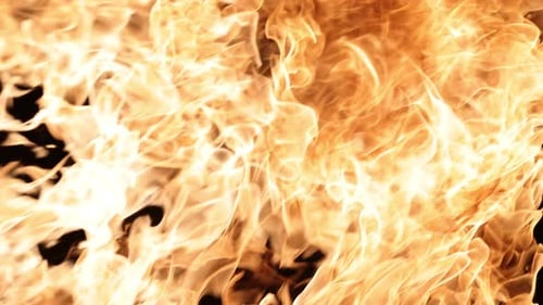 Intense flames and fire burning on black background