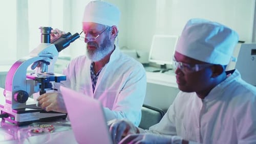 Scientists Collaborating on Research in Brightly Lit Lab