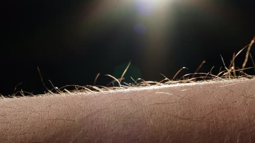 Close Up of Fine Body Hair on Skin