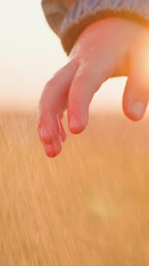 Child's Hand with Water Droplets in Golden Light