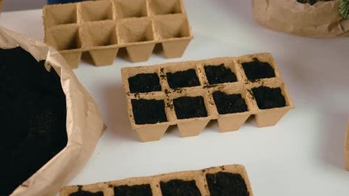 Woman Seeding Plant Seeds in Pot with Fertility Soil Transplants and Caring for Indoor Potted